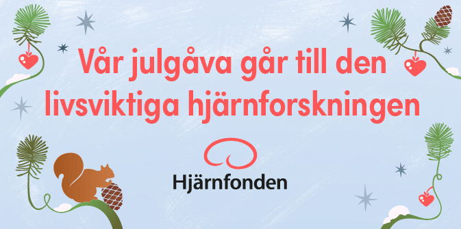 Hjarnfonden_julbanner_336x280_2_R
